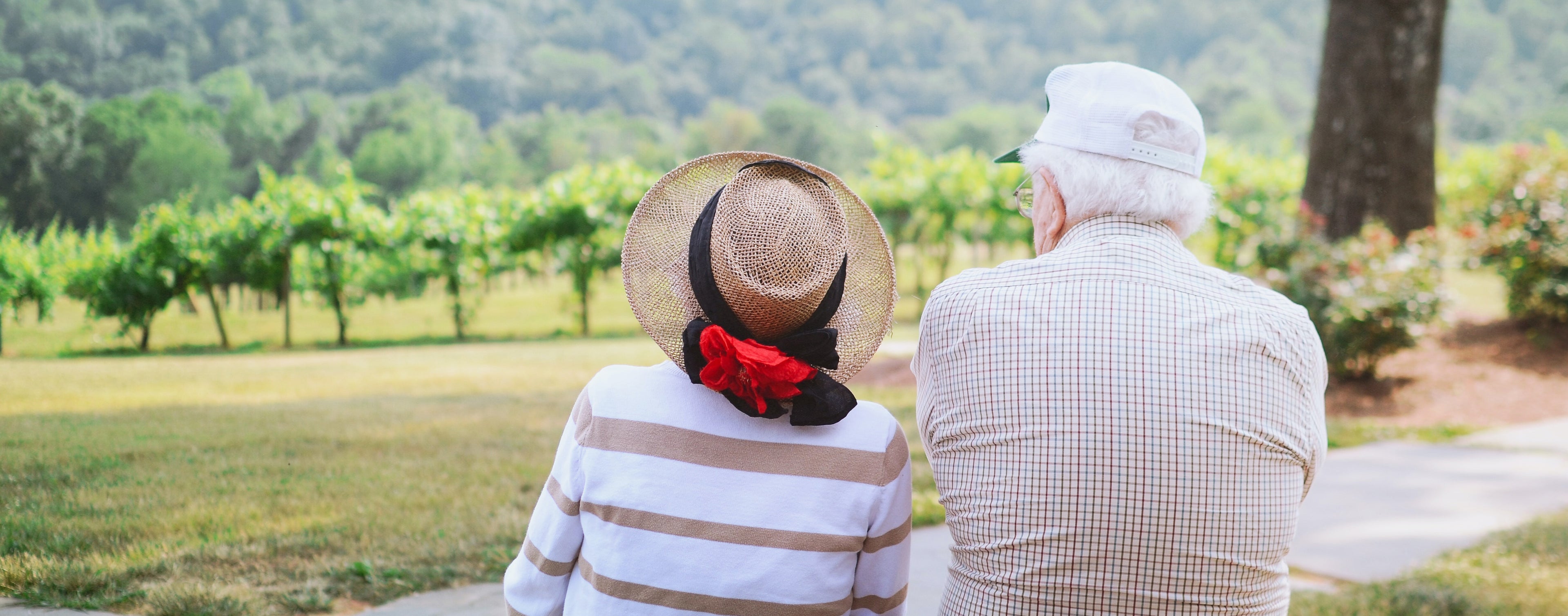 Elderly couple sitting together in the park filled with green grass and trees